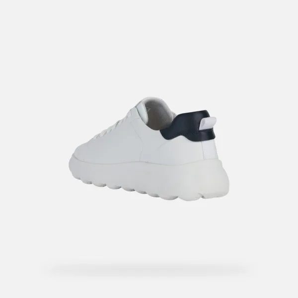 Sneakers Uomo GEOX EC4.1